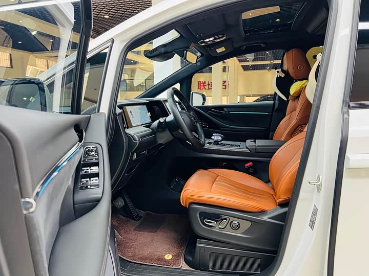 GAC Trumpchi E9 2024 2024款 E9 贺岁版