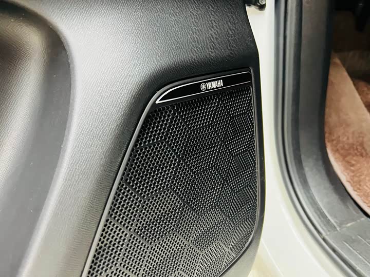 GAC Trumpchi E9 2024 2024款 E9 贺岁版