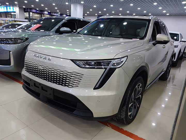 Haval Ruge Max 2023 2023款 1.5L Hi4 105 四驱领航版