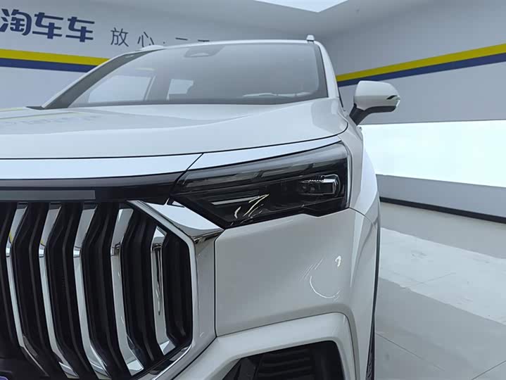 Geely Okavango L 2024 2024款 2.0T DCT旗舰型