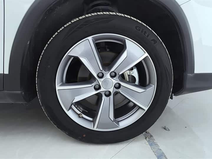 Geely Okavango L 2024 2024款 2.0T DCT旗舰型