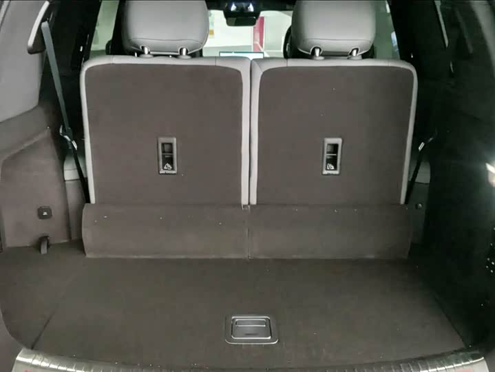 Denza N9 2025 2025款 尊荣型