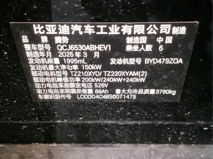 Denza N9 2025 2025款 尊荣型