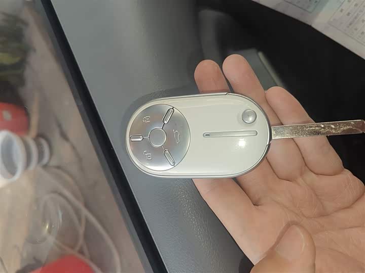 Bestune Pony 2025 2025款 222km 灵动马