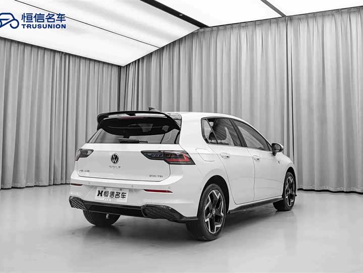 Volkswagen Golf 2025 2025款 改款 300TSI R-Line