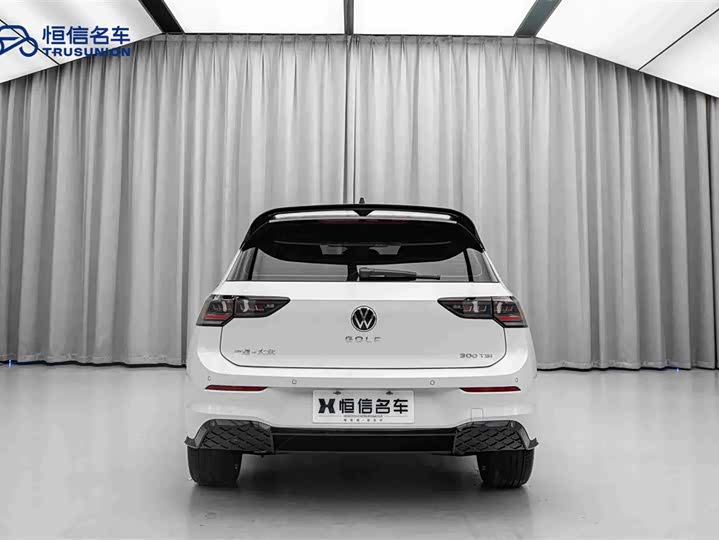 Volkswagen Golf 2025 2025款 改款 300TSI R-Line