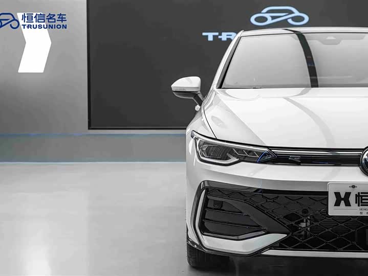 Volkswagen Golf 2025 2025款 改款 300TSI R-Line