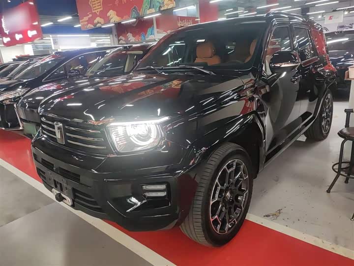 Tank 700 Hybrid 2024 2024款 Hi4-T 极境版