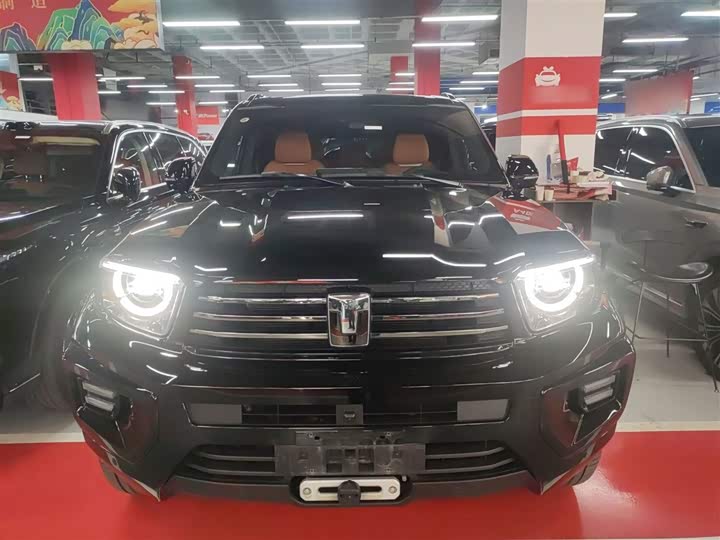 Tank 700 Hybrid 2024 2024款 Hi4-T 极境版