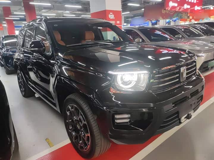 Tank 700 Hybrid 2024 2024款 Hi4-T 极境版