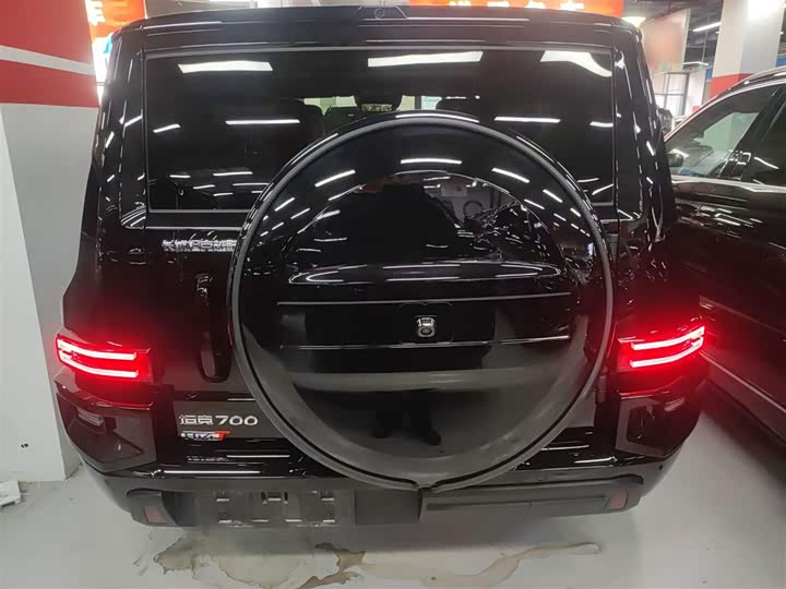 Tank 700 Hybrid 2024 2024款 Hi4-T 极境版