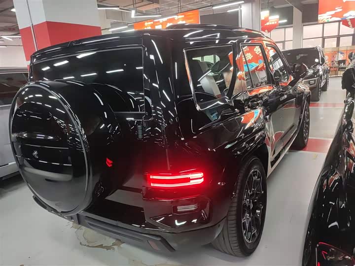 Tank 700 Hybrid 2024 2024款 Hi4-T 极境版