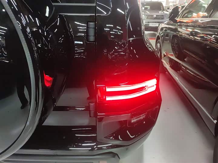 Tank 700 Hybrid 2024 2024款 Hi4-T 极境版