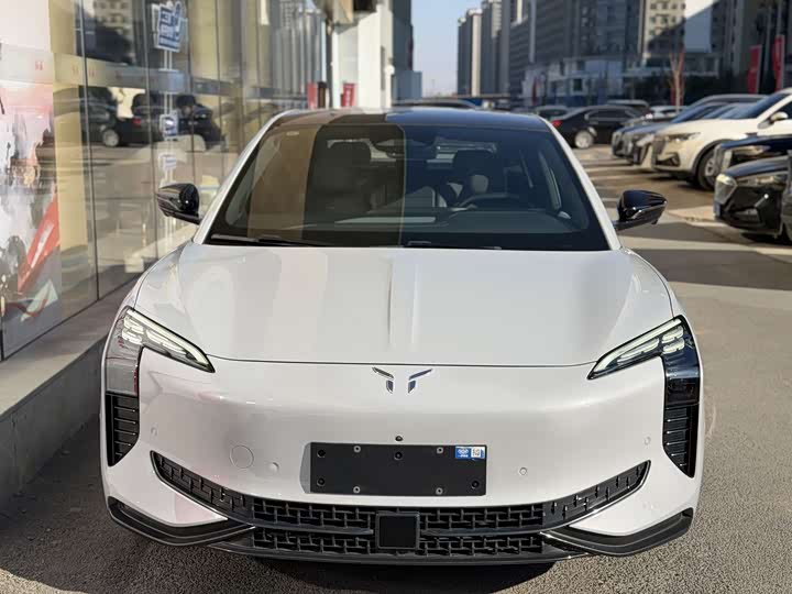 Hongqi EH7 2024 2024款 690 Pro