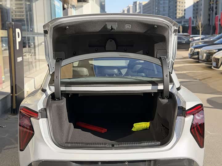 Hongqi EH7 2024 2024款 690 Pro