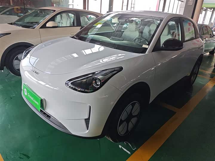 Geely Galaxy Geome 2026 2026款 310km 青春版