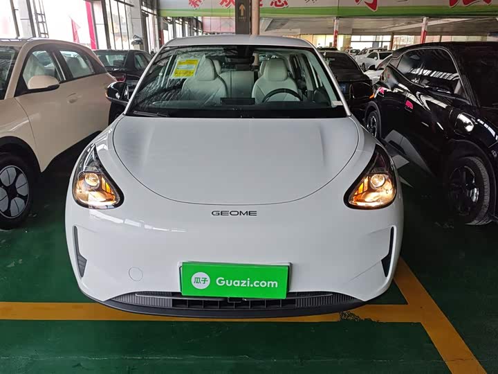 Geely Galaxy Geome 2026 2026款 310km 青春版