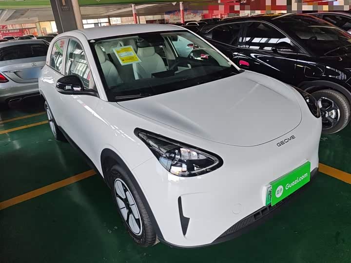 Geely Galaxy Geome 2026 2026款 310km 青春版