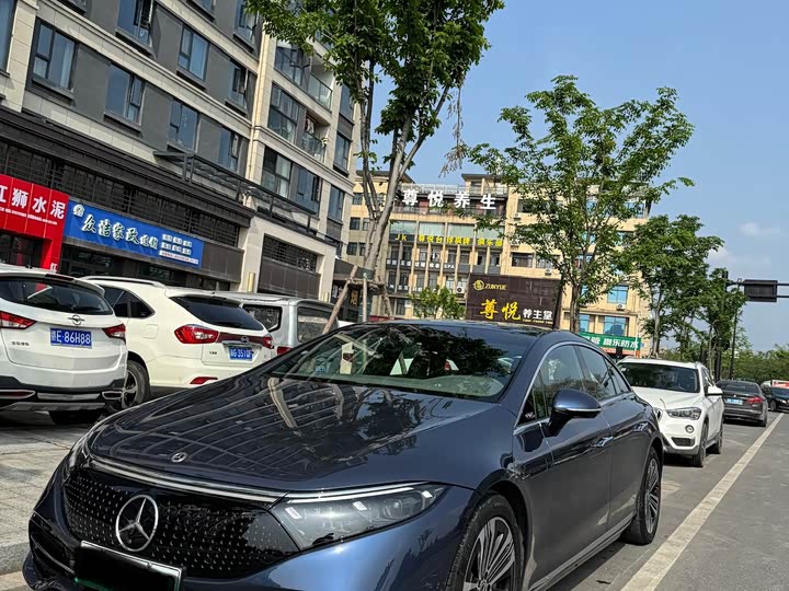 Mercedes-Benz EQS 2022 2022款 450+ 先锋版