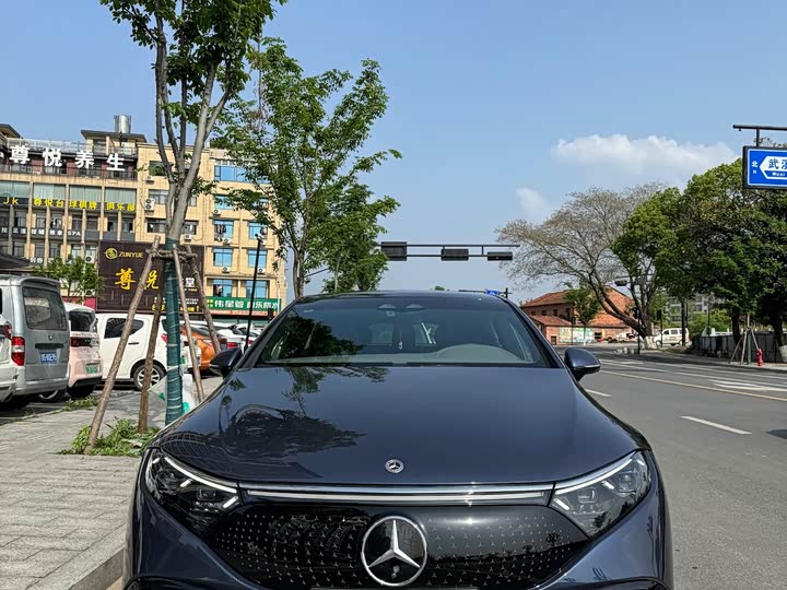 Mercedes-Benz EQS 2022 2022款 450+ 先锋版