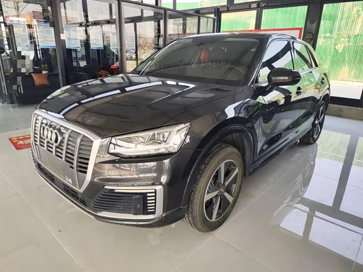 Audi Q2L e-tron 2019 2019款 Q2L e-tron 纯电智享型