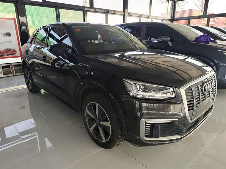 Audi Q2L e-tron 2019 2019款 Q2L e-tron 纯电智享型