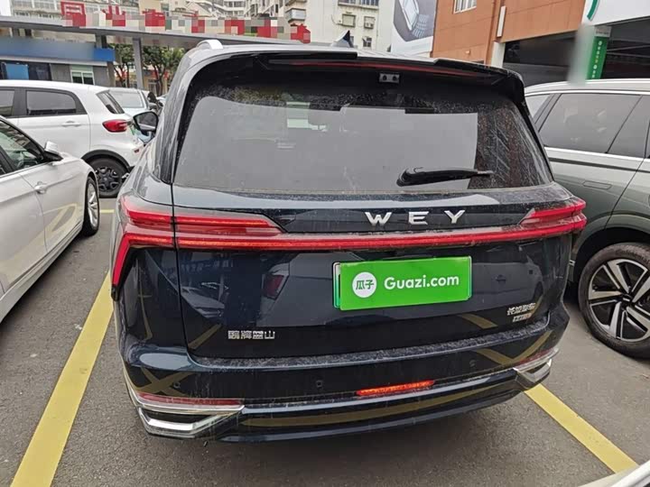Wey Lanshan 2025 2025款 四驱智驾 Max