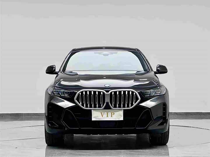 BMW X6 2023 2023款 xDrive40i M运动套装