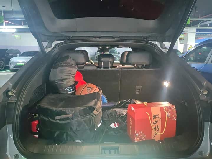 Ford Mustang Mach-E 2021 2021款 无疆后驱豪华版(长续航)