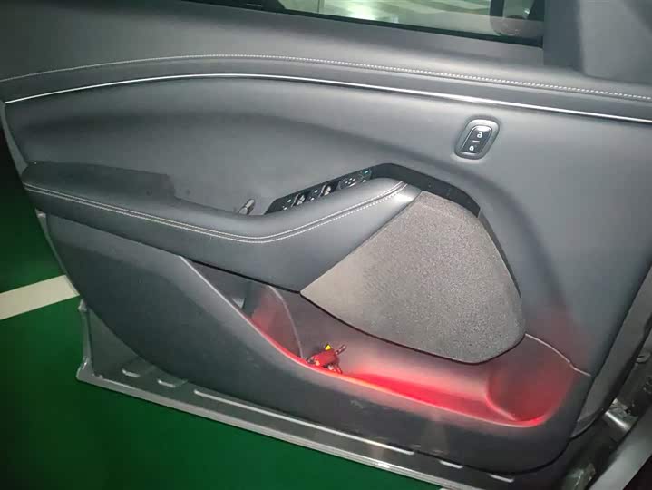 Ford Mustang Mach-E 2021 2021款 无疆后驱豪华版(长续航)