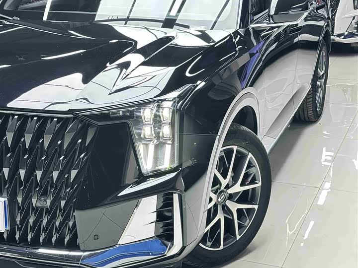 GAC Trumpchi GS8 2024 2024款 双擎系列 2.0TM 两驱尊贵版