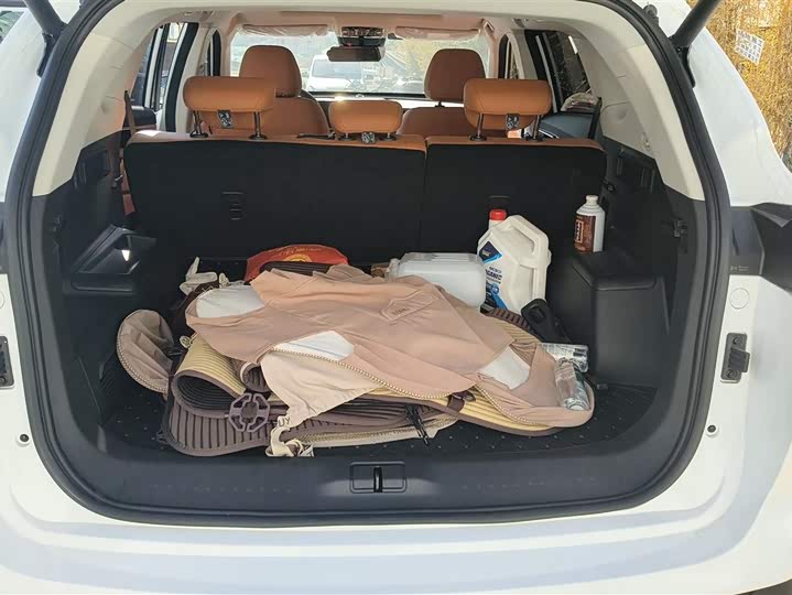 Jetour Shanhai L7 2024 2024款 1.5T 120km MAX+ 5座