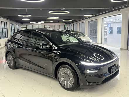 Tesla Model Y 2025 2025款 长续航全轮驱动版