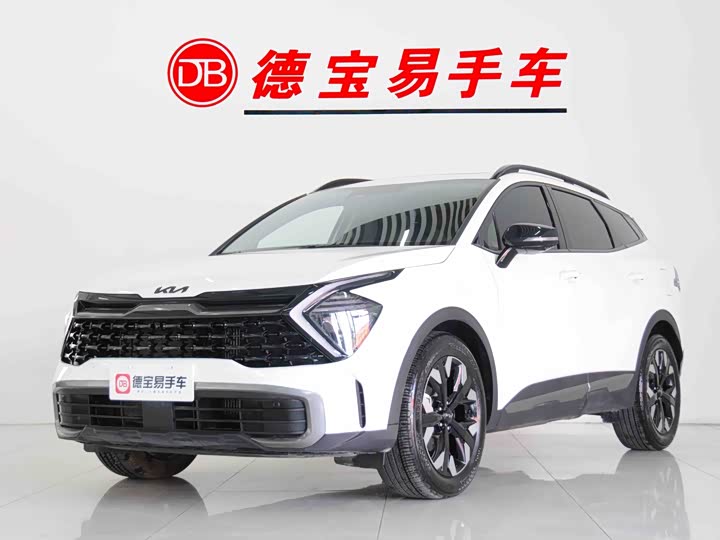 Kia Sportage 2023 2023款 2.0T 两驱旗舰版