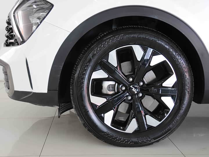 Kia Sportage 2023 2023款 2.0T 两驱旗舰版