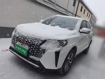 Geely Okavango Pro 2024 2024款 1.5T DCT 纵横+