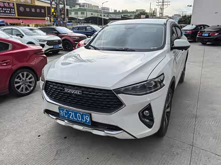 2021 Haval F7