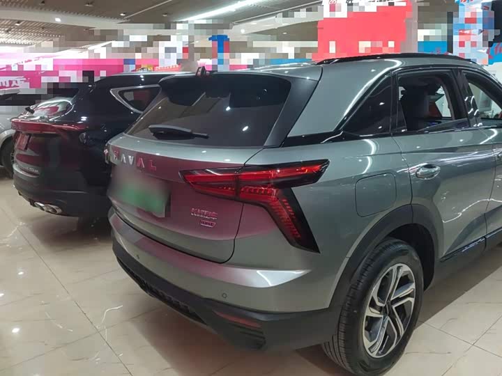 Haval Ruge 2023 2023款 1.5L 110KM领动版
