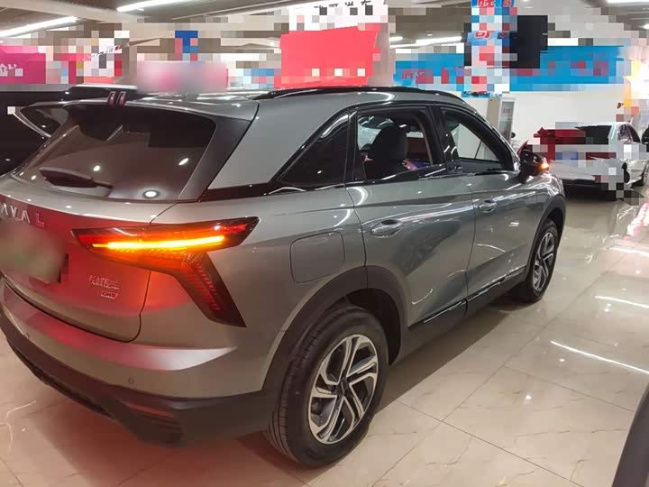 Haval Ruge 2023 2023款 1.5L 110KM领动版