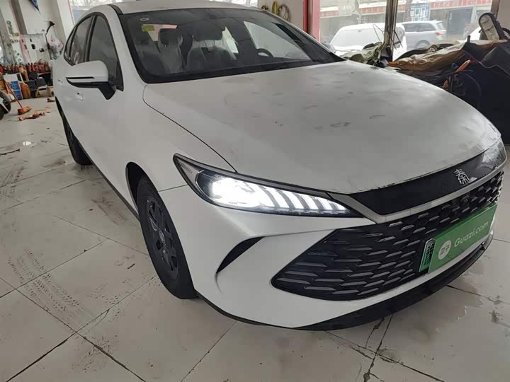 BYD Qin Plus 2025 2025款 DM-i 智驾版 55KM领先型