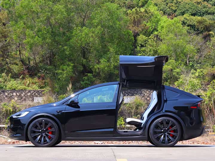 Tesla Model X 2023 2023款 三电机全轮驱动 Plaid版