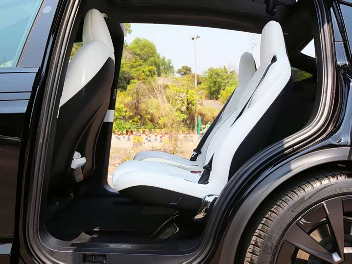 Tesla Model X 2023 2023款 三电机全轮驱动 Plaid版