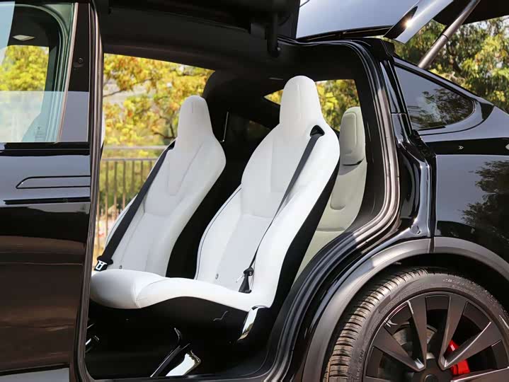 Tesla Model X 2023 2023款 三电机全轮驱动 Plaid版