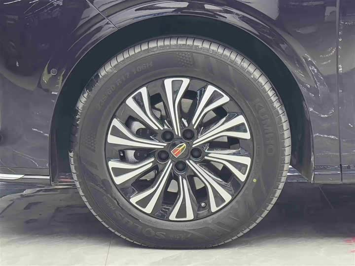Hongqi HQ9 Hybrid 2024 2024款 2.0T 四驱豪华版