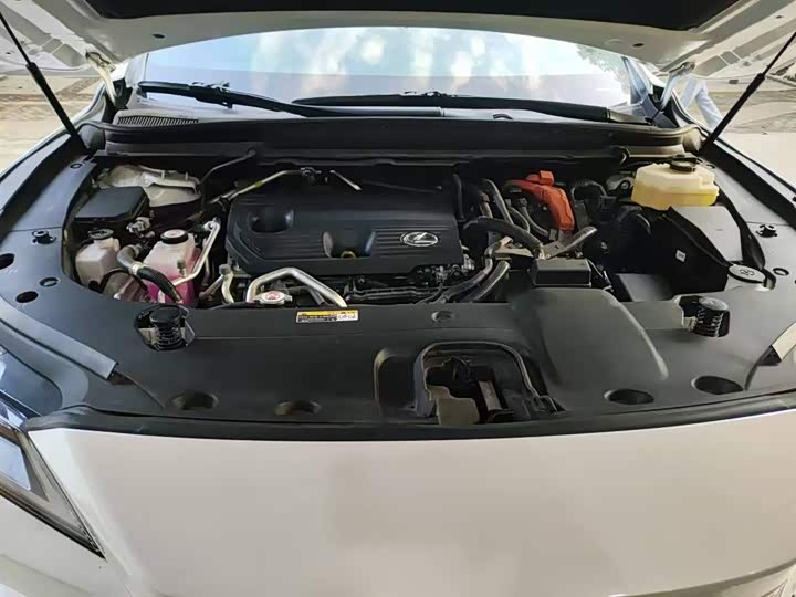 Lexus RX Hybrid 2023 2023款 450h+ 四驱畅享版