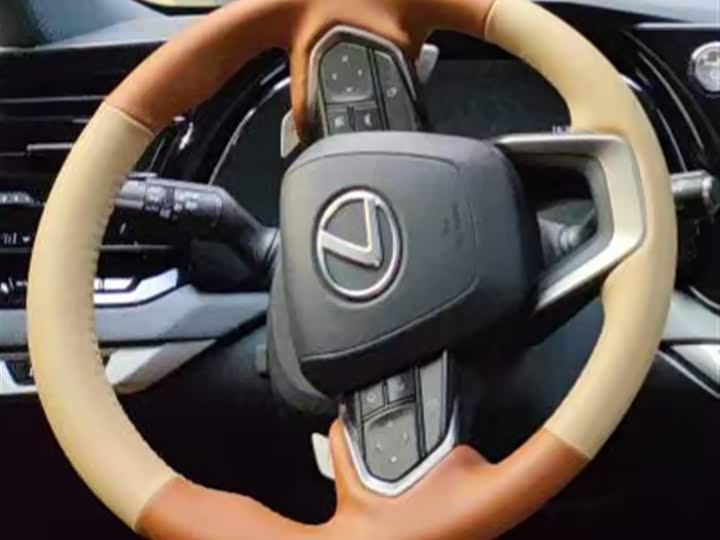 Lexus RX Hybrid 2023 2023款 450h+ 四驱畅享版