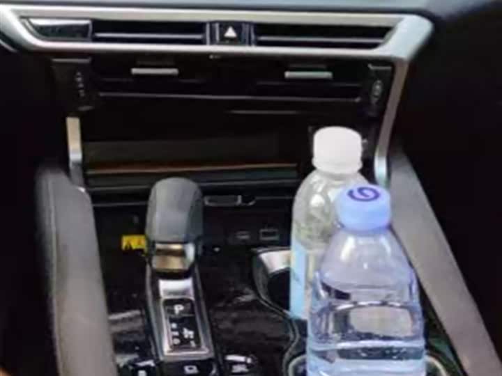 Lexus RX Hybrid 2023 2023款 450h+ 四驱畅享版