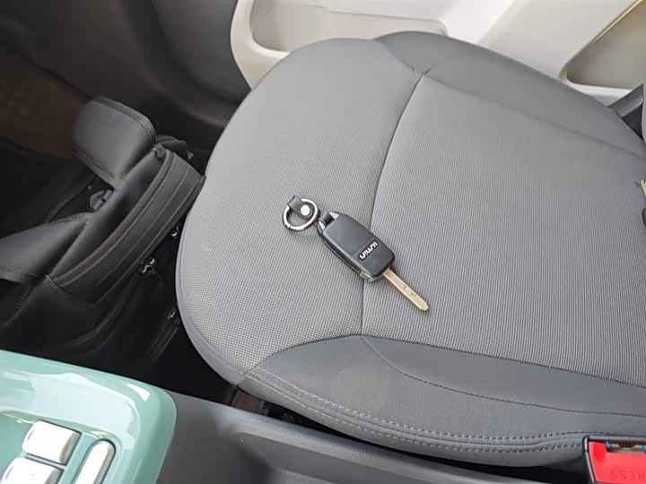 Changan Qiyuan (Nevo) Lumin 2025 2025款 205km 清香款