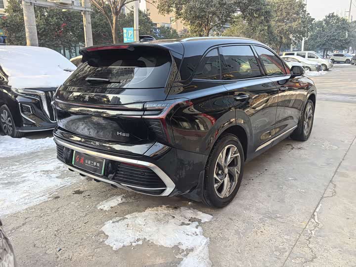 Hongqi HS3 Hybrid 2024 2024款 115km 劲为版