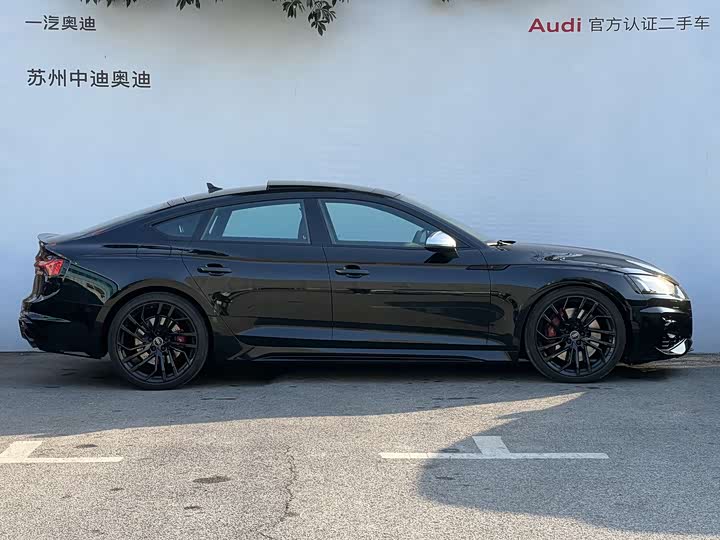 Audi RS 5 2023 2023款 RS 5 2.9T Sportback 黑曜版